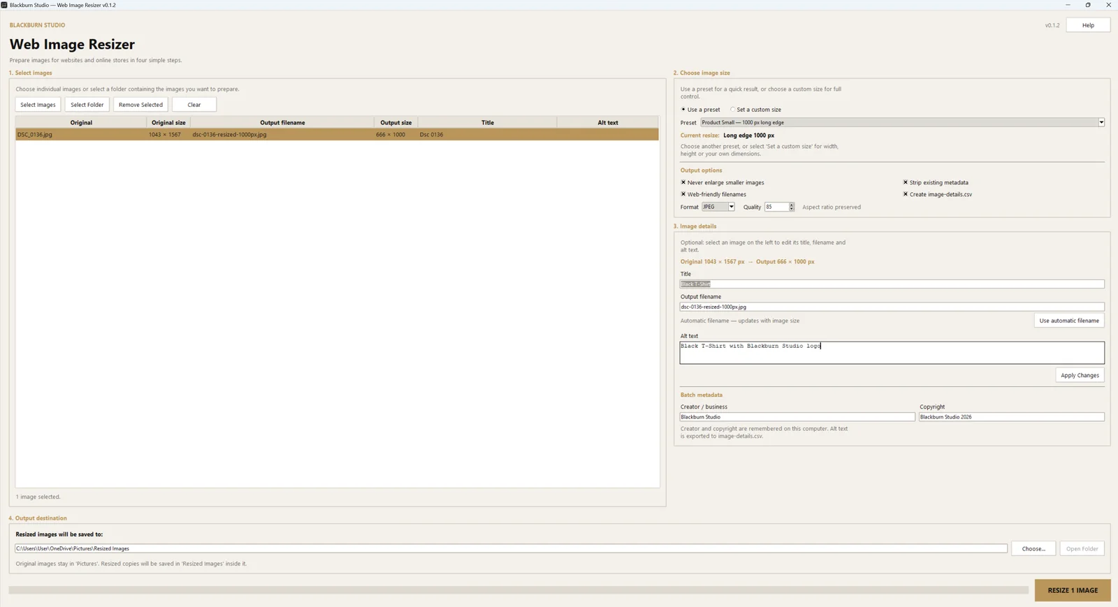 Blackburn Studio Web Image Resizer showing batch image sizing, output dimensions and metadata options