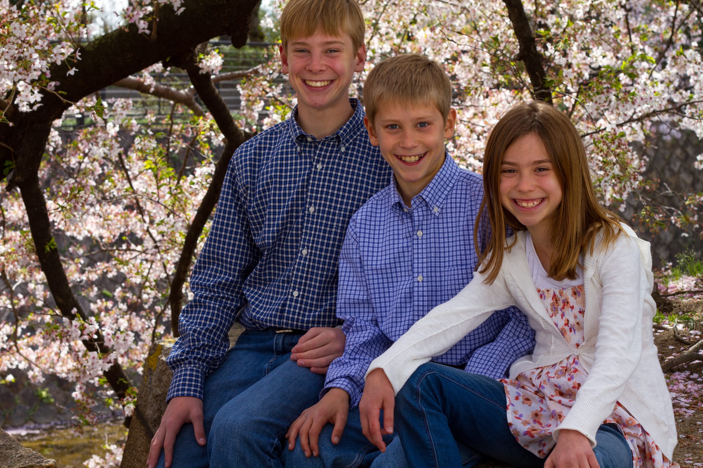 Family seated together beneath blossom trees