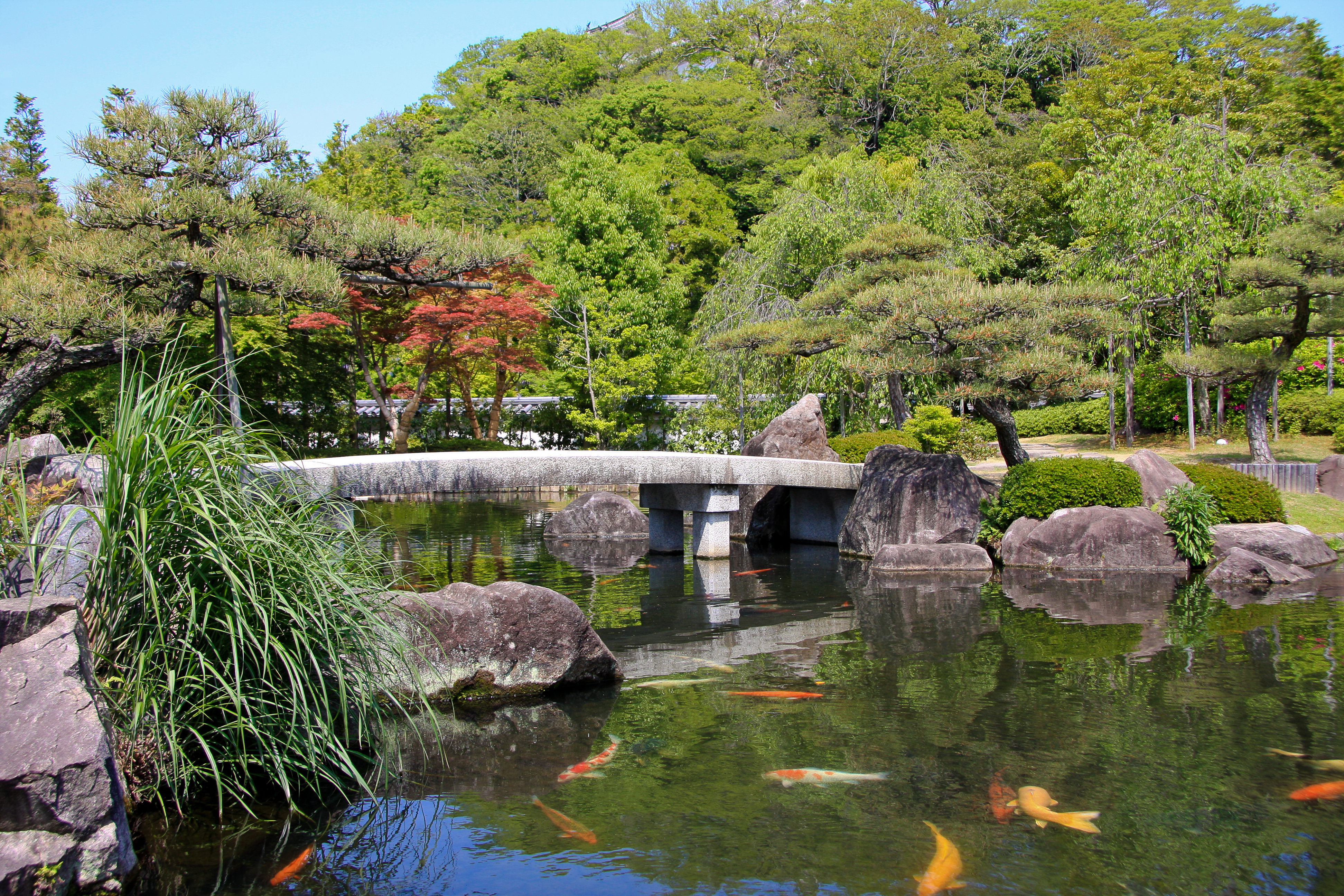 Japan landscape by Blackburn Studio