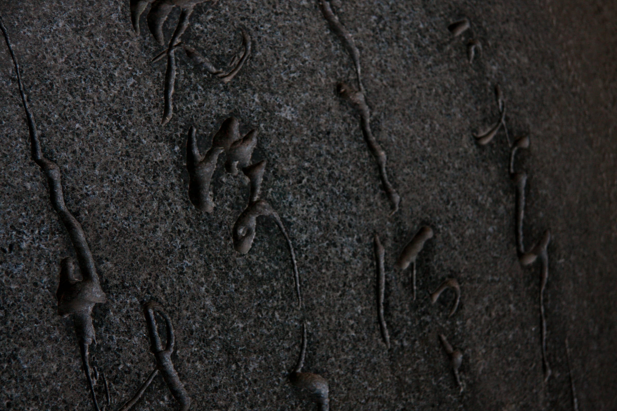 Dark textured abstract surface with layered organic detail