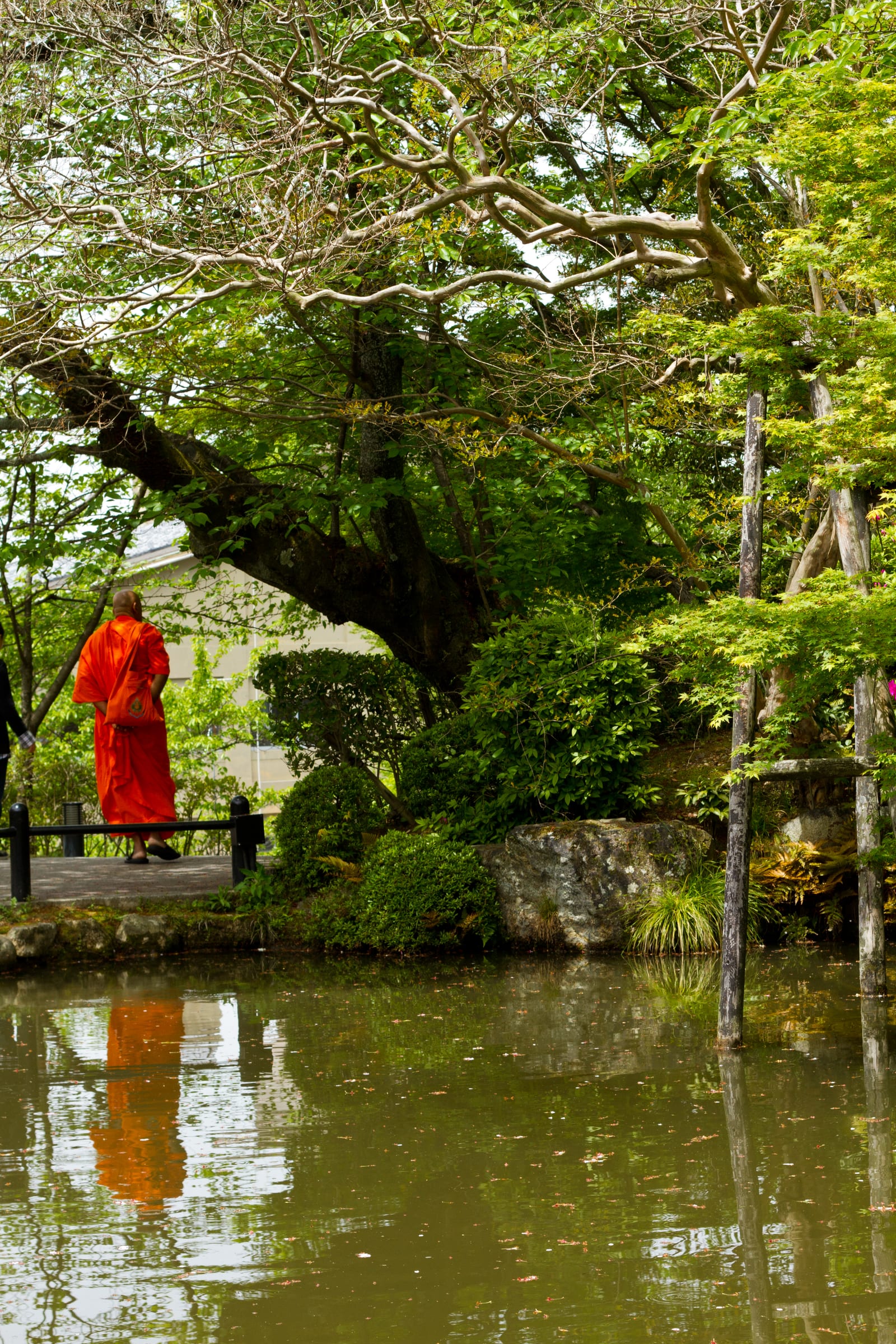 Woman in red standing beside a reflective Japanese garden beneath large trees